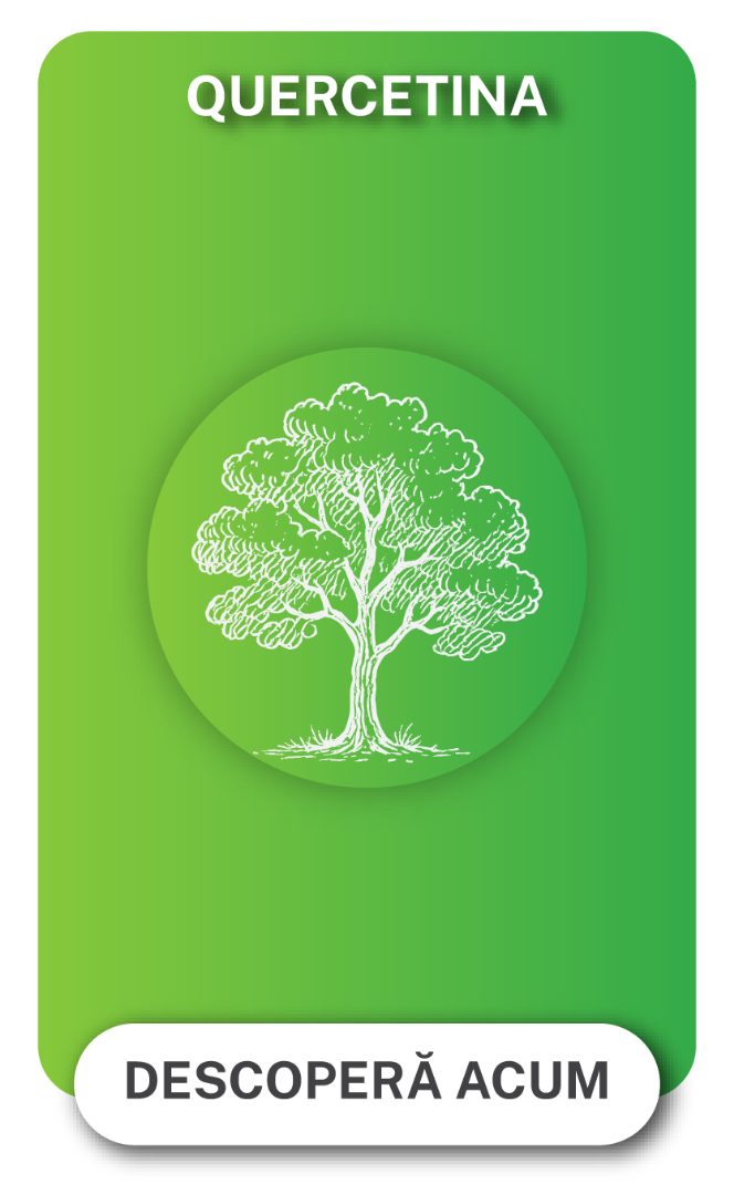 Quercetina